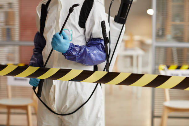 Professional Sewage Cleanup technician working in Lakeview, WA